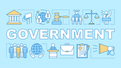 government